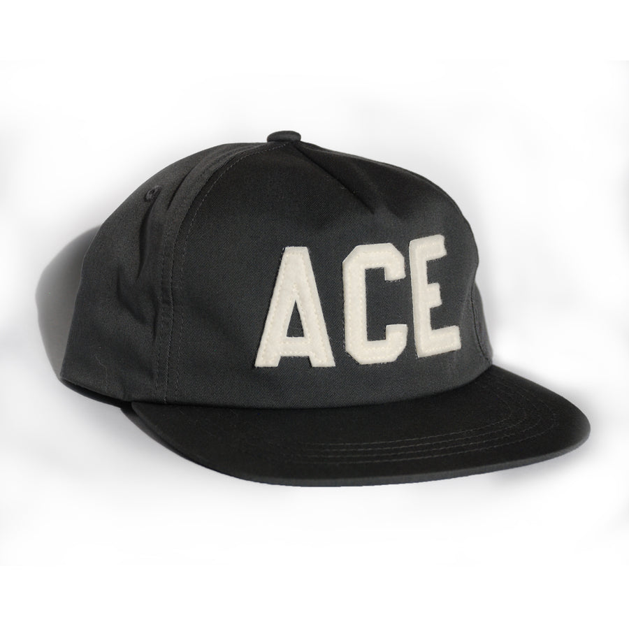 ACE 5 Panel