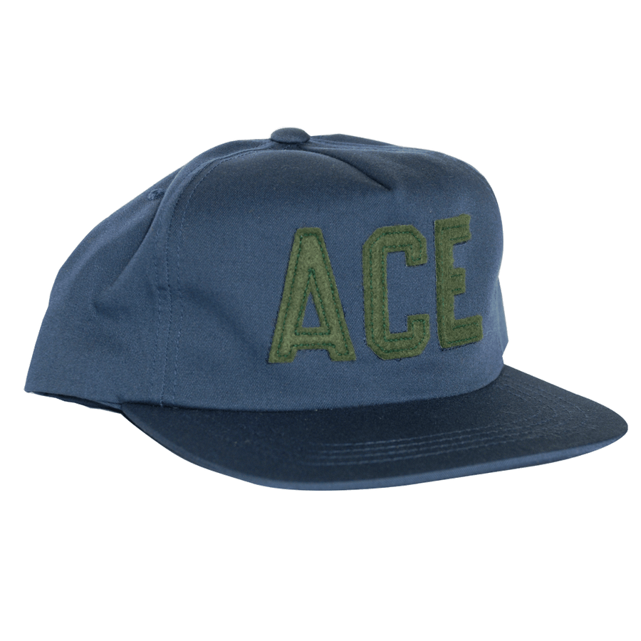 ACE 5 Panel