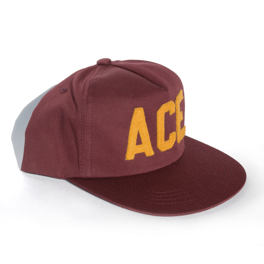 ACE 5 Panel